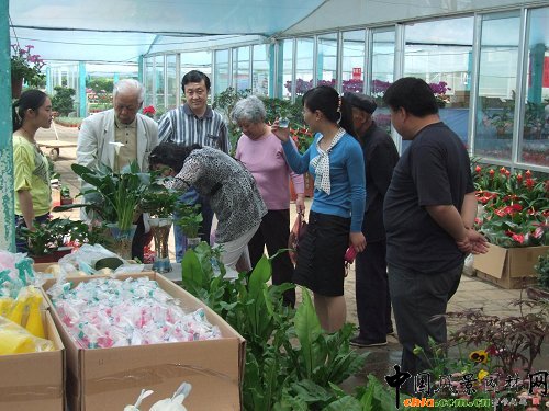 �����S��患�"��һ"С�L�� �����N�ۮ�����(�M�D)