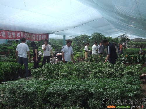 �����S��患�"��һ"С�L�� �����N�ۮ�����(�M�D)