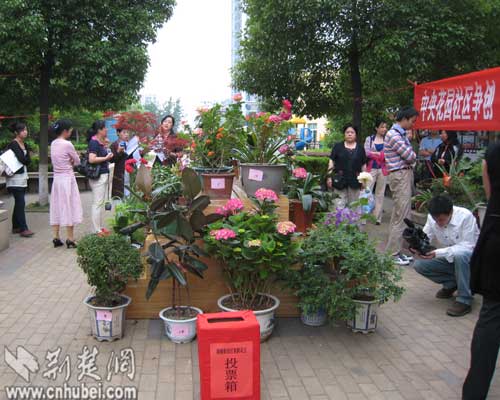 ����Ϻ����e�k�ü�ͥ�����u�x(�D)