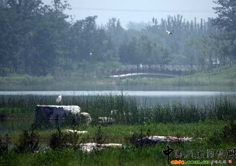 �W��ƥ��ɭ�ֹ��@ ���������