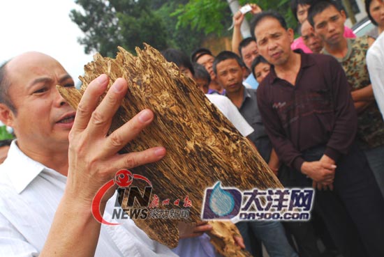 늰׳���Nֲ�y�����h�_�l���Ј� ���r��׷��