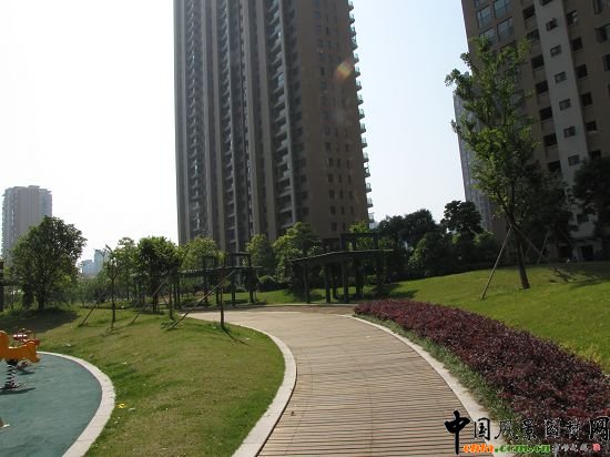 �����L���X�����o���@���ھG������