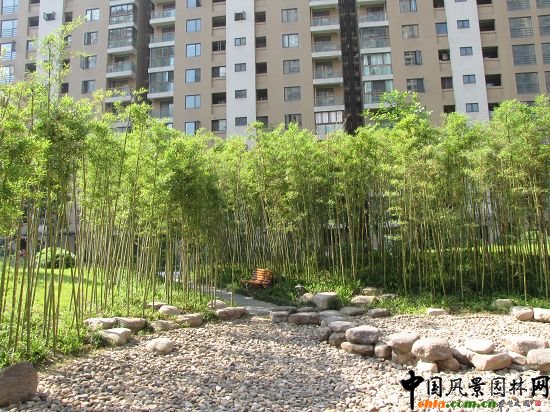 �����L���X�����o���@���ھG������