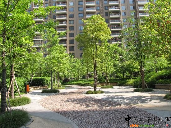 �����L���X�����o���@���ھG������