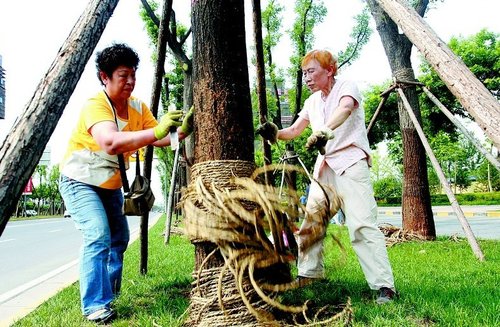 ������λ���˞�500��û��䡰�ɽ��������h���D��