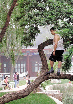 ���״����Mԇ�_�Ź��@ӭ���ׂ���ĩ ���������G�˷�