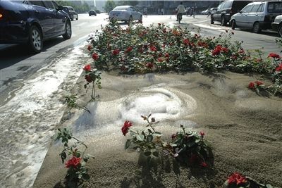 �����G������ð��������ĭ ���l����ֻ�(�D)