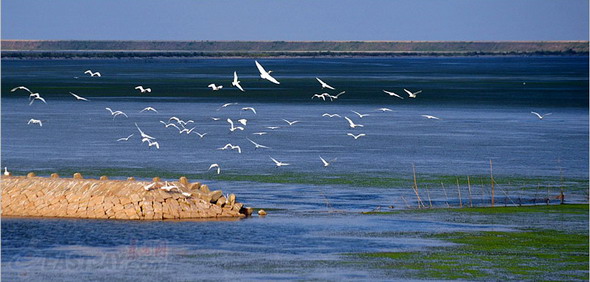 ���������������ĺӿڛ_�e�uȺ���m��(j��ng)�v��1300����Ĝ�ɣ��׃���������������{���ؾG��ˮ����������