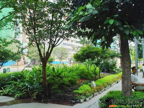 �ؑc�м��깫�@���ھ��^����