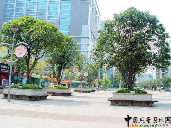 �ؑc�м��깫�@���ھ��^����