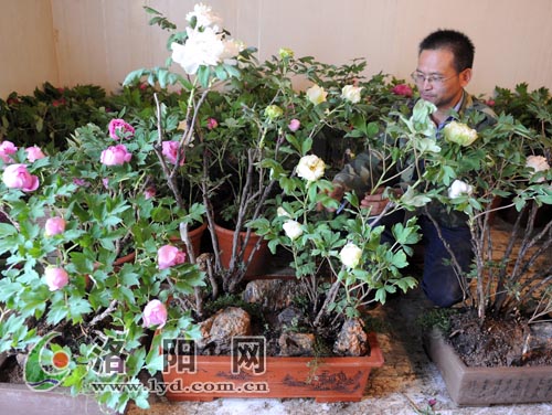 �����b܇���\��ĵ����