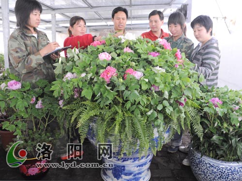    �����b܇���\��ĵ����