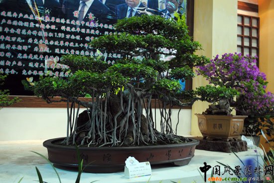 �҃�չ�^(q��)-����չλ