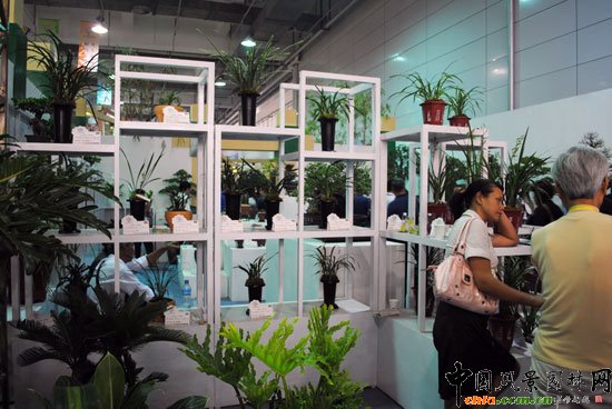 �҃�չ�^(q��)-����չλ