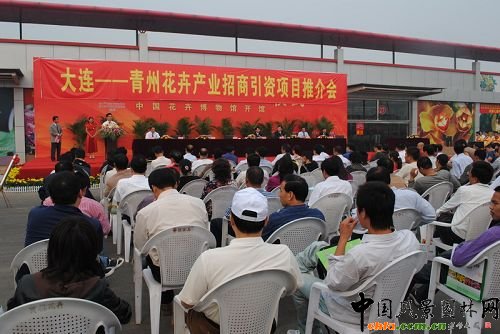 �߲������ݾ�Ʒ�����Ŀ�ƽ���e��