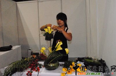 ��ˇ���F(xi��n)��(ch��ng)��(chu��ng)��