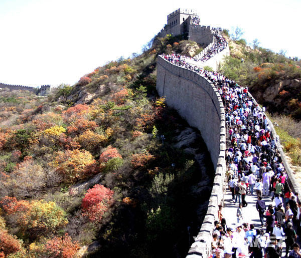 10��3�����ο��ʵǰ��_�X�L�����[�^����