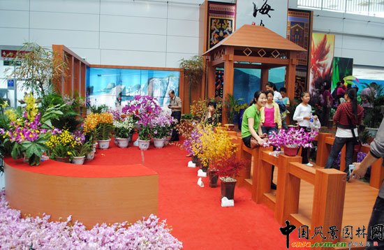 ���ߌû�����(����)�҃�(n��i)չ--����չ�^(q��)