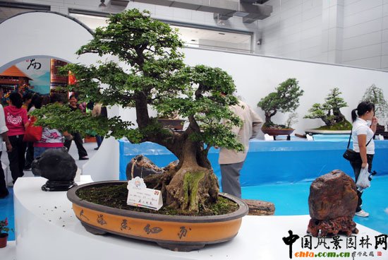 ���ߌû�����(����)�҃�չ--����չ�^