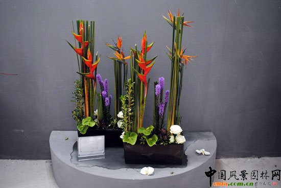 ���ߌû�����(hu��)(����)�҃�(n��i)չ--��ˇ�^(q��)