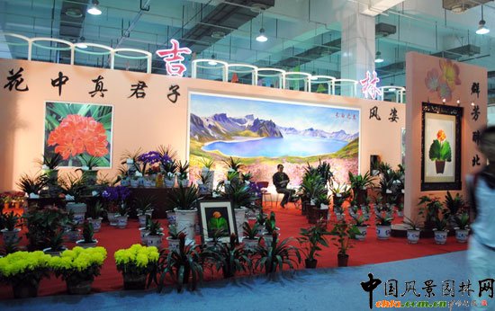 ���ߌû�����(����)�҃�չ--����չ�^