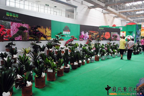 ���ߌû�����(����)�҃�չ--�|��չ�^