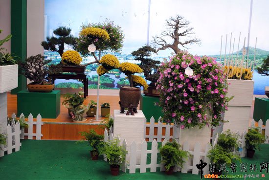 ���ߌû�����(����)�҃�չ--����չ�^(q��)