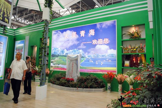 ���ߌû�����(����)�҃�չ--�ຣչ�^