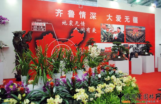 ���ߌû�����(����)�҃�չ--�Ĵ�չ�^