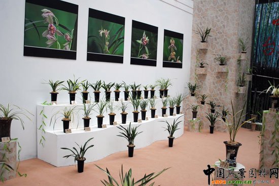 ���ߌû�����(hu��)(����)�҃�(n��i)չ--�_(t��i)��չ�^(q��)