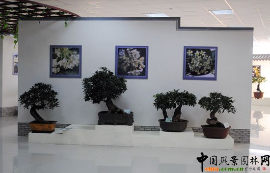 ���ߌû�����(����)�҃�չ--���辰չ