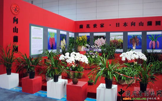 ���ߌû�����(hu��)(����)�҃�(n��i)չ--��(gu��)�H�^