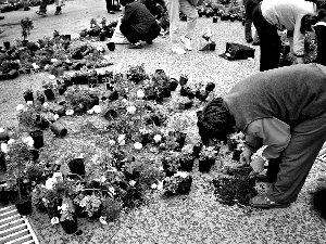 һЩ�������ڰỨ�����գ���������w���Ļ����@�Tǰǧ���辰�^С��������哌��