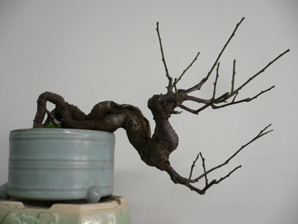 �����辰��Ʒ�����㡷�����ߡ���������ߪ�������