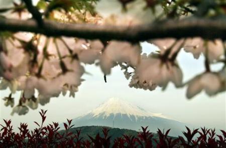 組圖：全世界最適合居住的國家排行 中國惹關注 (10)