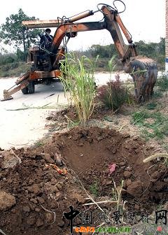 �������h�S�f������＾ֲ��߳�