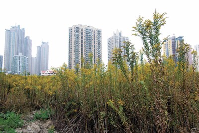 ���Ϻ���ɭ�ֹ���Ҏ������ʩ ��׌���ڶ�֦�S��������