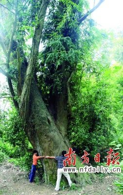 �V�|�B�����@�F(xi��n)ǧ��t��ɼ ����_20����