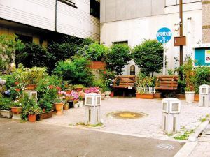 I(lng)ԣWO(sh)ӋĪ(MD)