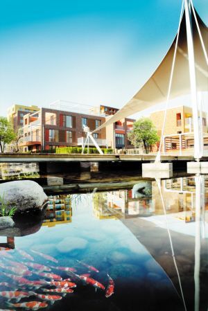 I(lng)ԣWO(sh)ӋĪ(MD)