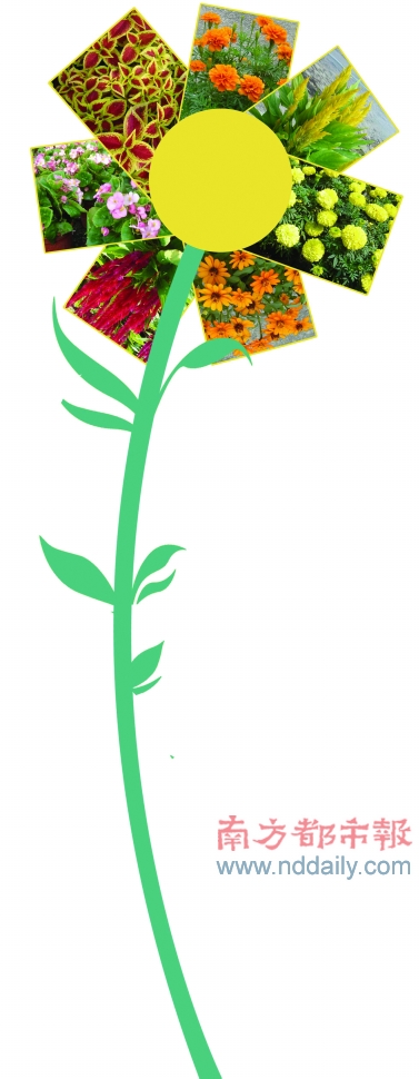 �V�|�����\�r���M�ɵĻ����Ⱦ��^��·�ݾ�