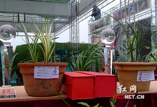 �@�ý�(ji��ng)���m��