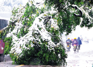 ��ľȱ�첲���ȣ������l֮�^��