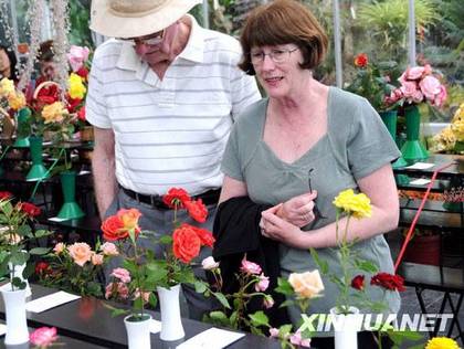 新西蘭：2009惠靈頓植物園玫瑰節(jié)鮮花怒放