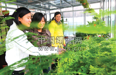 �����������m���҃Ȕ[�ŵľGɫ�h�����ܟ��N