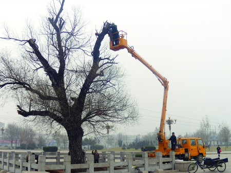 �s����ʮ����g�ġ��Ҹ��������ڽ����B�o