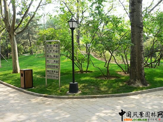 公園東路邊綠地一角