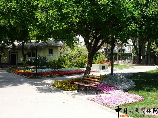 樹蔭下的綠地和座椅