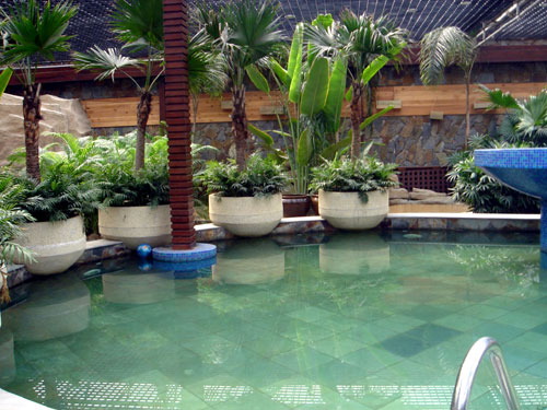 ѺW(wng)۵ʮȪаNO.7ʥԷȪ