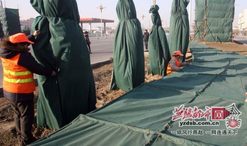 ���������h�ǘ䡱����͸�⡢�oҕ�X��Ⱦ�ġ���������